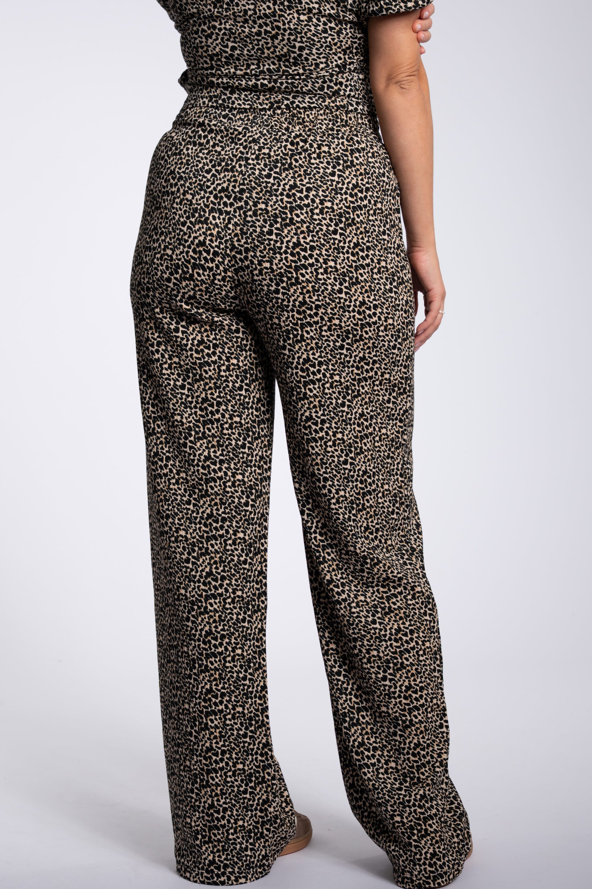 The Wild Pantalon